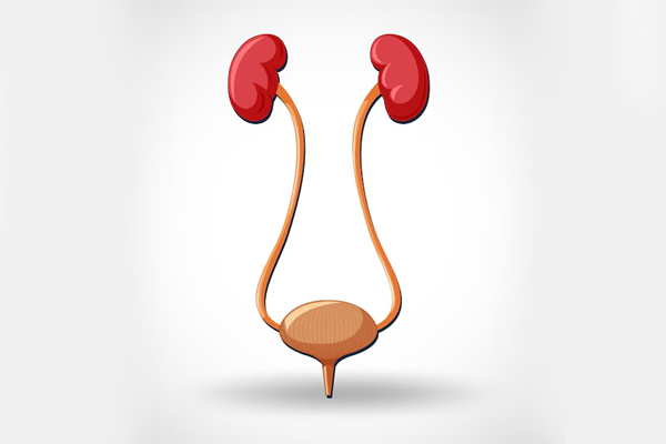 Urethra Problem