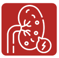 Kidney Stone Management